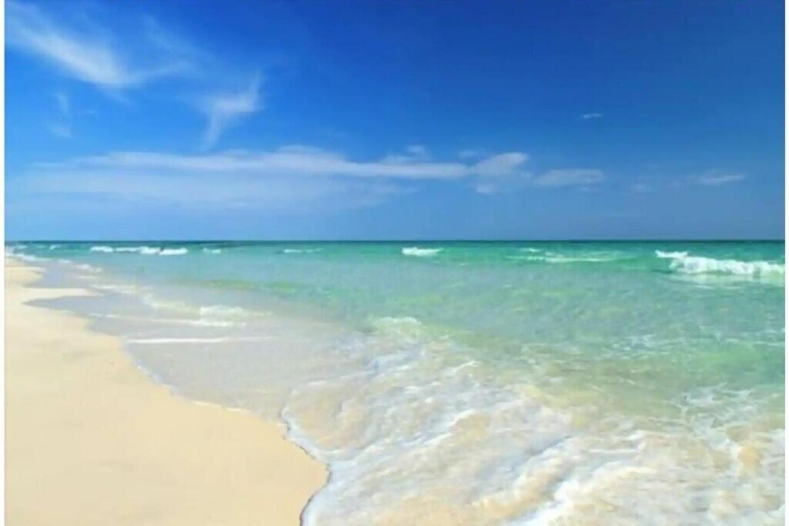 Beachfront Getaway In Siesta Key Extérieur photo